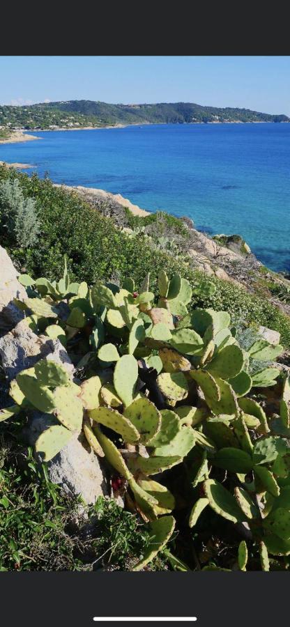 La Dolce Vita Mazet A Gassin Golfe De Saint Tropez Exterior foto