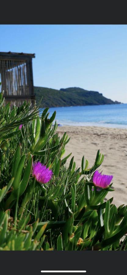 La Dolce Vita Mazet A Gassin Golfe De Saint Tropez Exterior foto